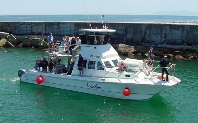 What she will look like after all the preperation work